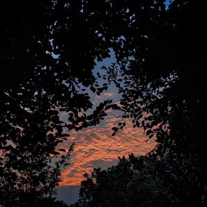 性生爱120分钟免费看
